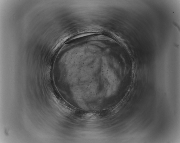 X0000100970154200807081228