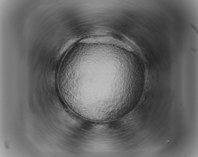 X0000100970155200807081228