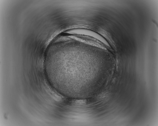 X0000100970156200807081228