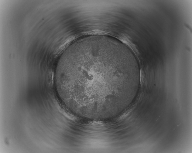 X0000100970157200807081228