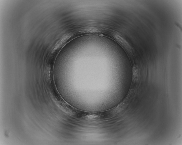 X0000100970158200807081228