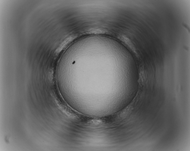 X0000100970159200807081228