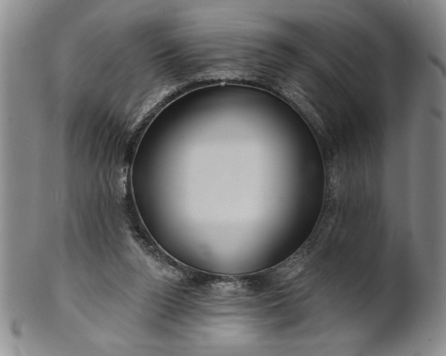 X0000100970160200807081228