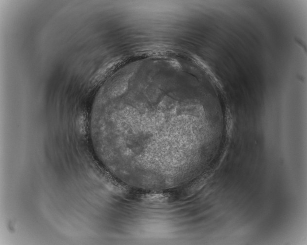 X0000100970161200807081228