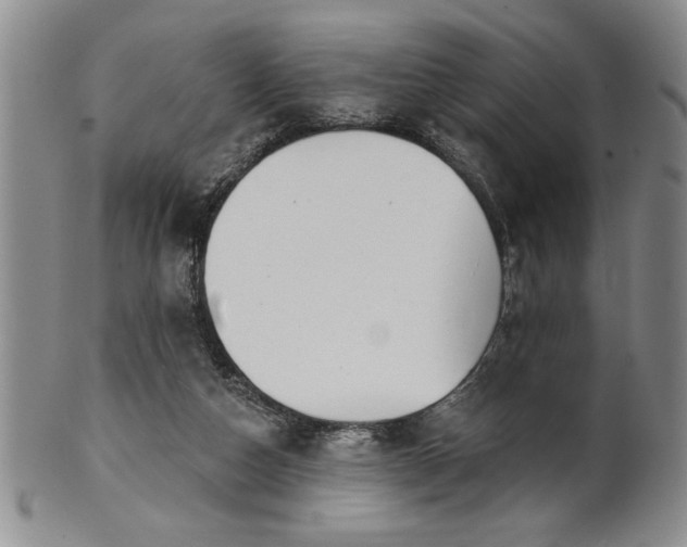 X0000100970162200807081228