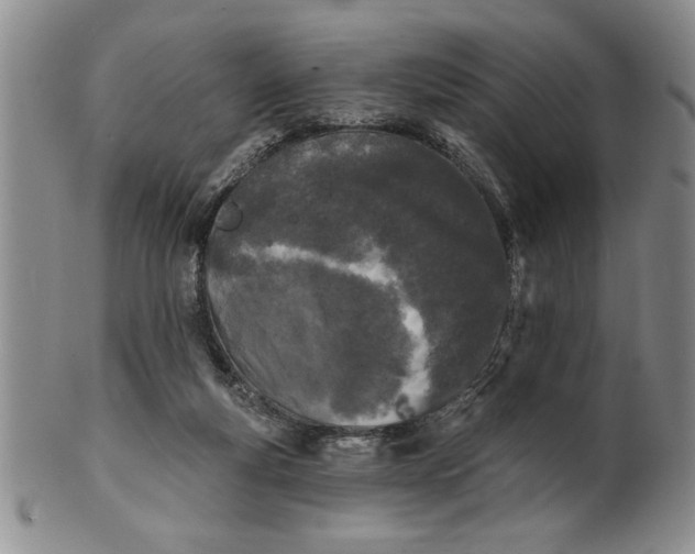 X0000100970163200807081228