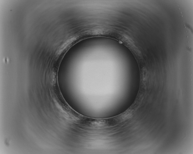 X0000100970164200807081228