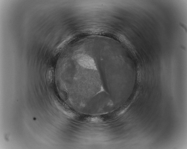 X0000100970165200807081228