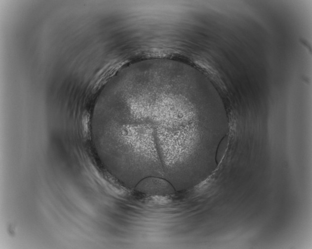 X0000100970166200807081228
