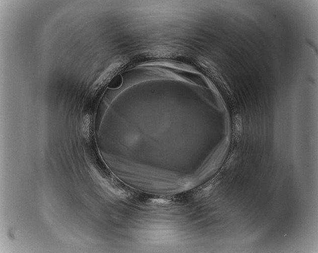 X0000100970167200807081228