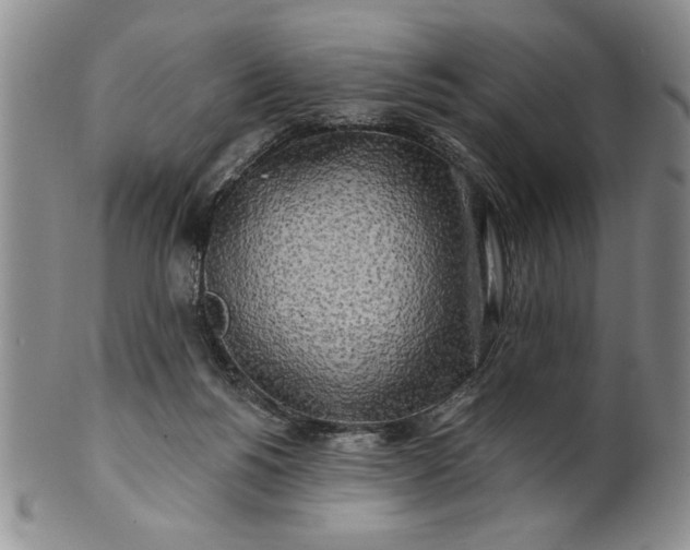 X0000100970168200807081228