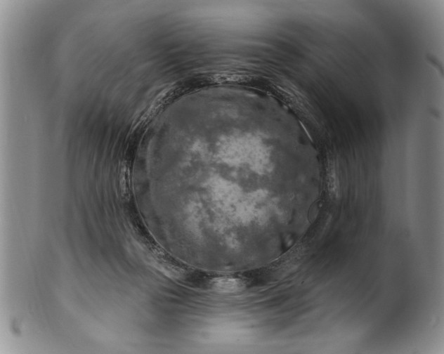 X0000100970169200807081228