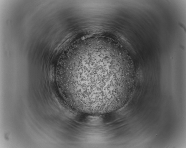 X0000100970170200807081228