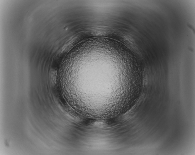 X0000100970171200807081228