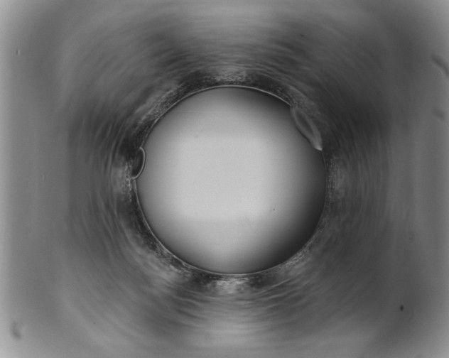 X0000100970172200807081228