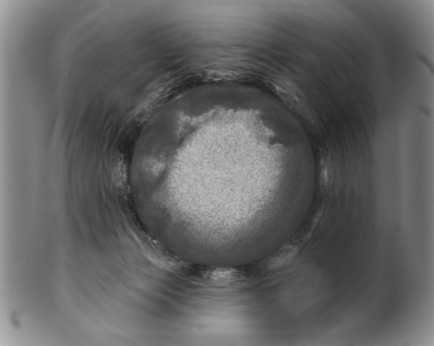 X0000100970173200807081228