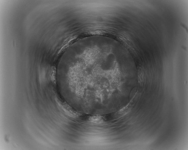 X0000100970175200807081228