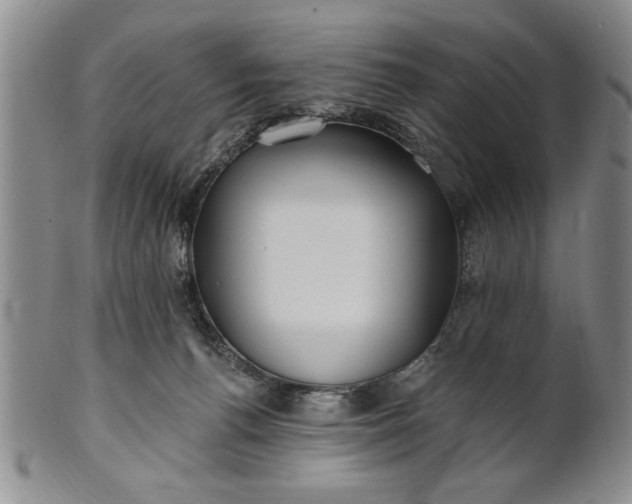 X0000100970176200807081228