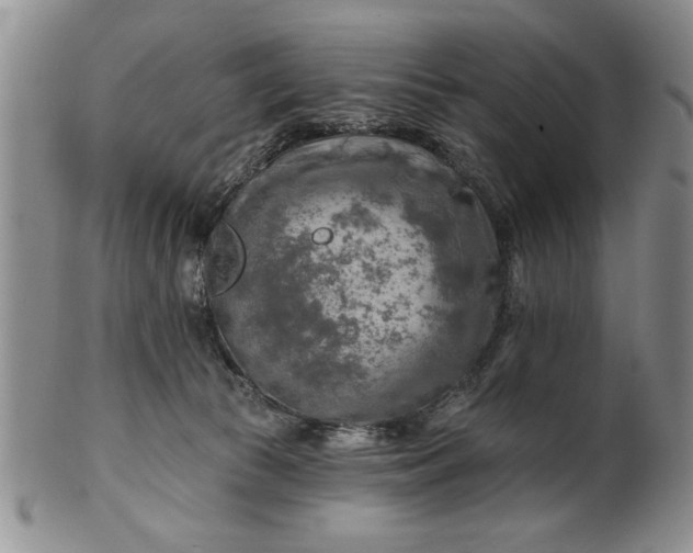 X0000100970177200807081228