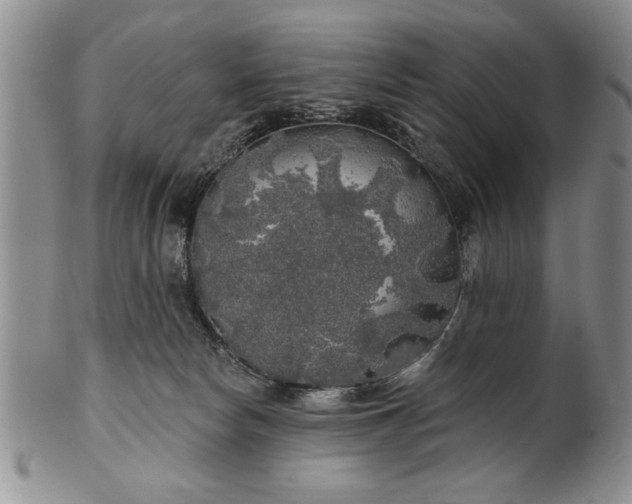 X0000100970178200807081228