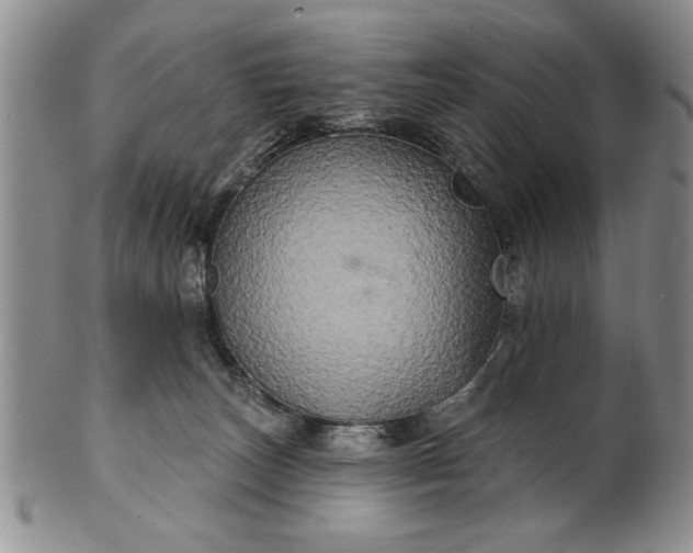 X0000100970179200807081228