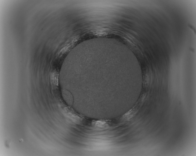 X0000100970180200807081228