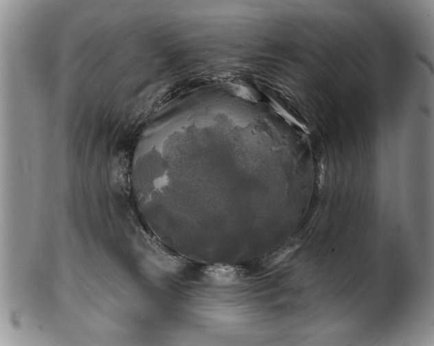 X0000100970181200807081228