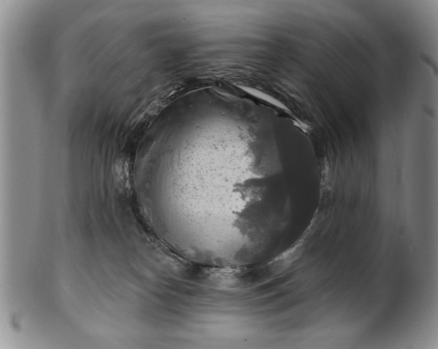 X0000100970182200807081228