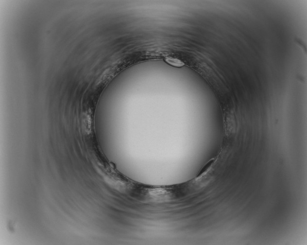 X0000100970183200807081228