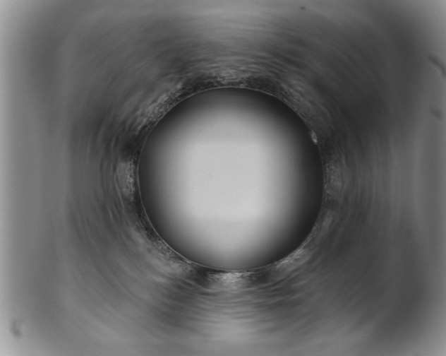 X0000100970184200807081228