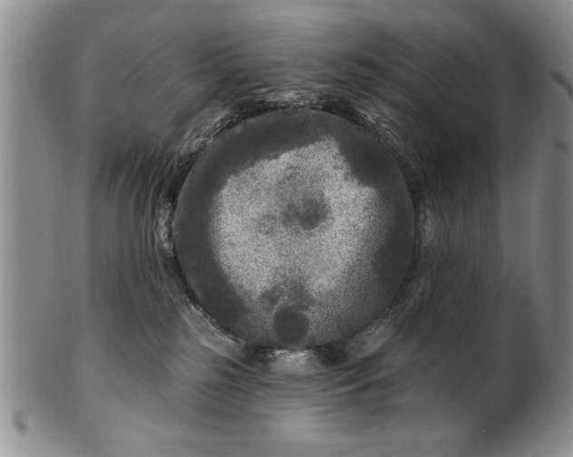 X0000100970185200807081228