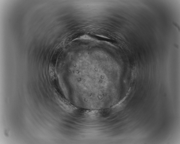 X0000100970186200807081228