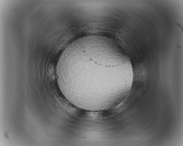 X0000100970187200807081228