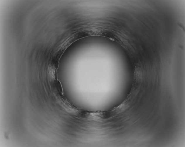 X0000100970188200807081228