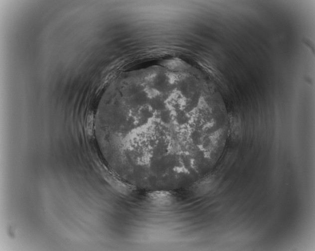 X0000100970189200807081228