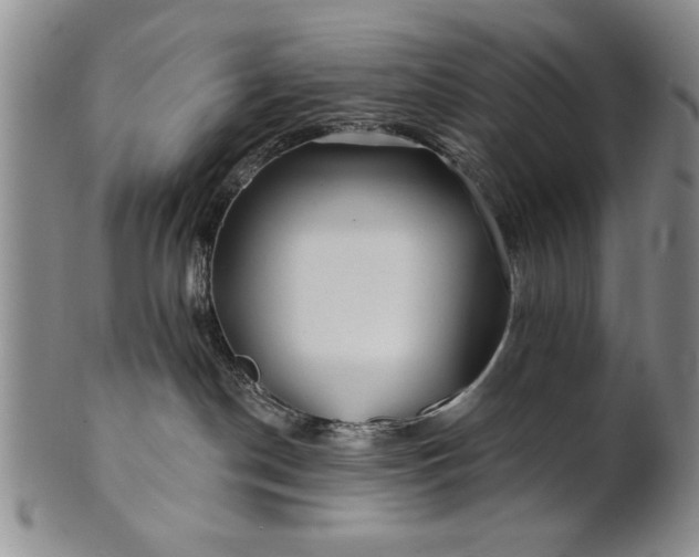 X0000100970190200807081228