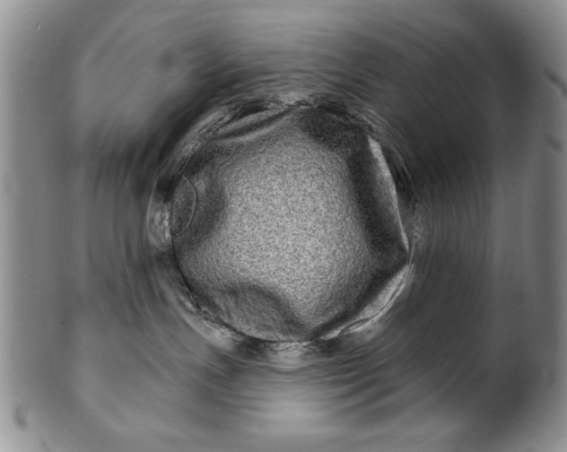 X0000100970191200807081228