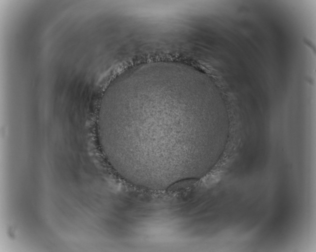 X0000100970192200807081228