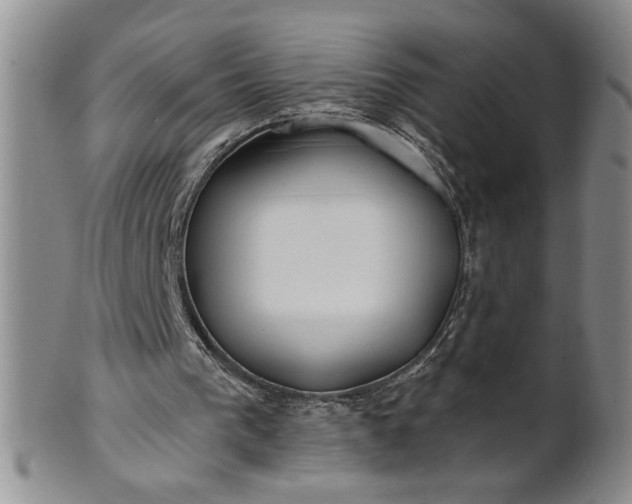 X0000100970193200807081227