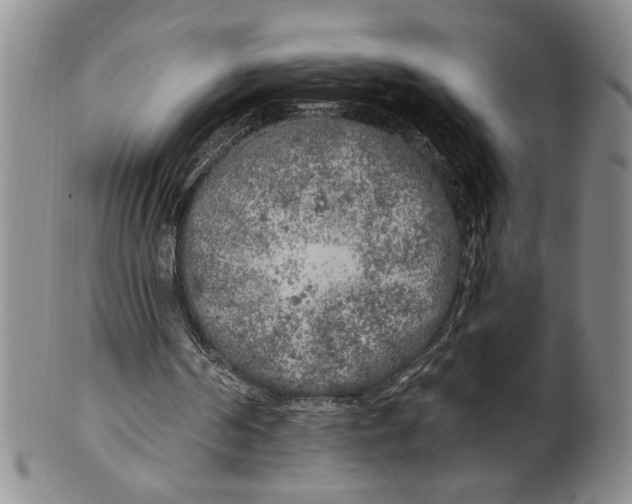 X0000100970194200807081227