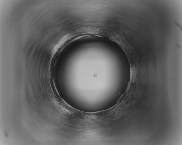 X0000100970195200807081227