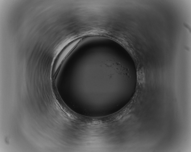 X0000100970196200807081227
