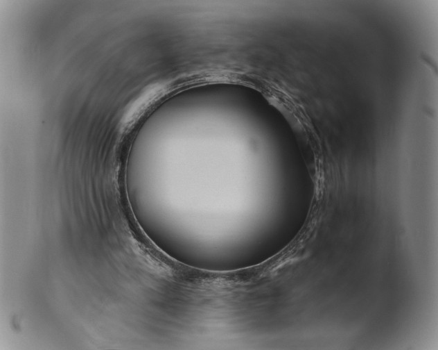 X0000100970197200807081227