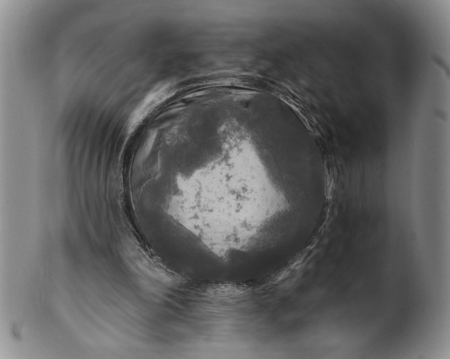 X0000100970198200807081227