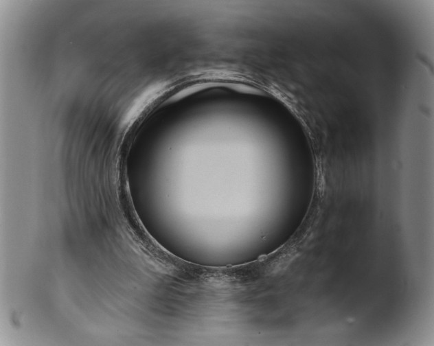 X0000100970199200807081227
