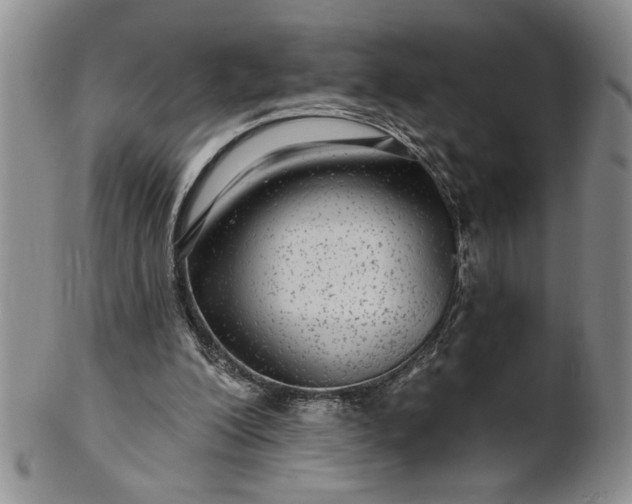 X0000100970200200807081227