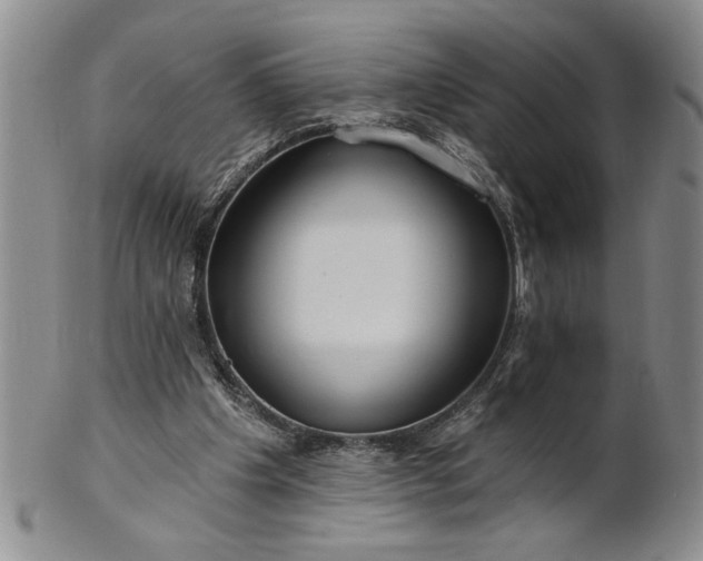 X0000100970201200807081227
