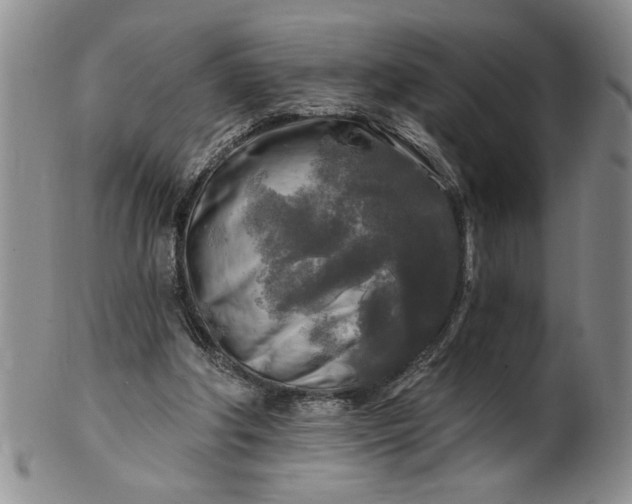 X0000100970202200807081227
