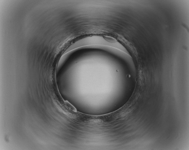 X0000100970203200807081227