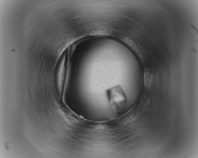 X0000100970204200807081227